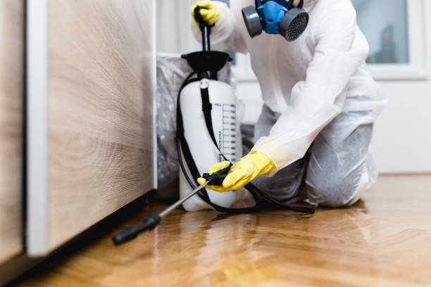 Best Pest Control for Homes  in Taylor, AL